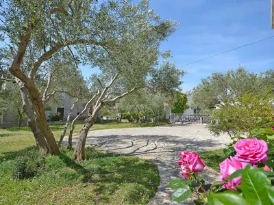Ferienwohnung für 5 Personen (39 m²) in Vodice 1/10