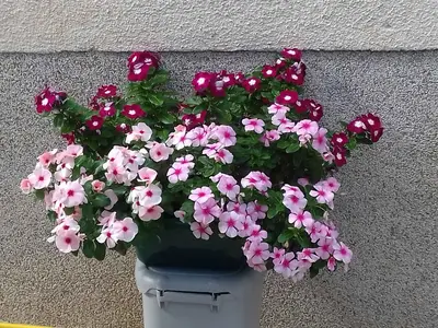 Ferienwohnung für 9 Personen (110 m²) in Vodice 7/10