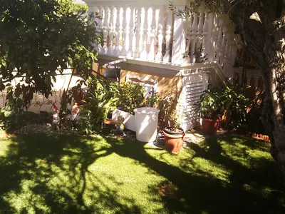 GardenSummer