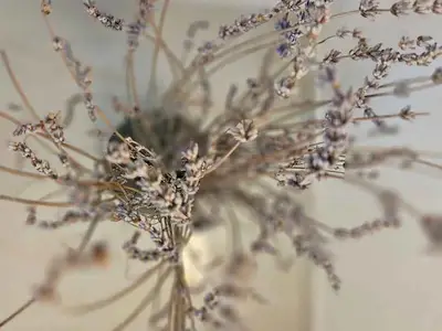 Ferienwohnung für 5 Personen (60 m²) in Vodice 9/10