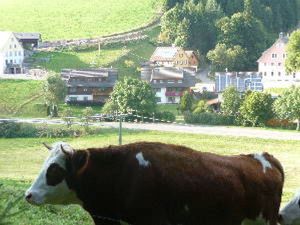 22235285-Ferienwohnung-5-Vöhrenbach-300x225-3