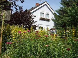 Ferienwohnung für 4 Personen (50 m²) in Vogtsburg