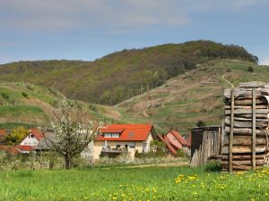 19399118-Ferienwohnung-3-Vogtsburg-300x225-4