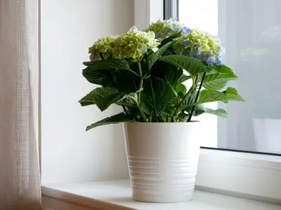 Ferienwohnung für 2 Personen (60 m²) in Vogtsburg 9/10