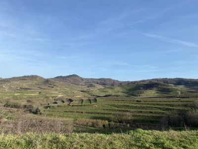 Wanderung in die Talgänge im inneren Kaiserstuhl . Ausgangspunkt Winzerhof Bitzenhofer