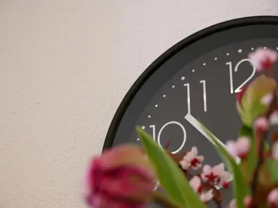 Ferienwohnung für 2 Personen (45 m²) in Vogtsburg 10/10