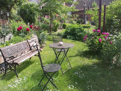 GardenSummer