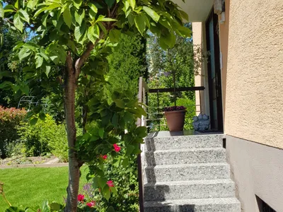 Ferienwohnung für 4 Personen (70 m²) in Vogtsburg 6/10