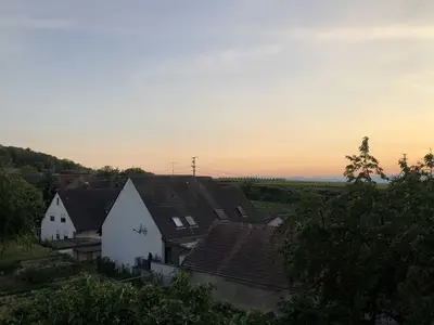 Ferienwohnung für 4 Personen (50 m²) in Vogtsburg 10/10