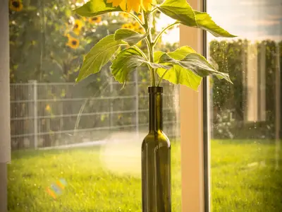 helles, naturnahes Wohnen