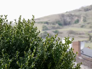 Ferienwohnung für 2 Personen (45 m²) in Vogtsburg