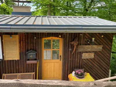 Ferienwohnung für 5 Personen (55 m²) in Vöhl 1/10