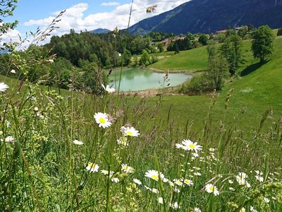 Pulvererhof Sommerlandschaft