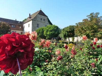 Klostergarten im Herbst