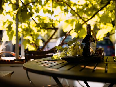 Terrasse mit privater Weinlaube