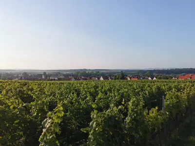 Ferienwohnung für 5 Personen in Volkach 5/10
