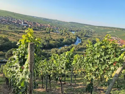 Mainschleife