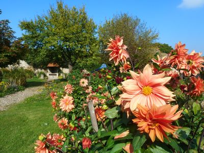 Herbstimpressionen