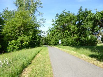 Maintalradweg