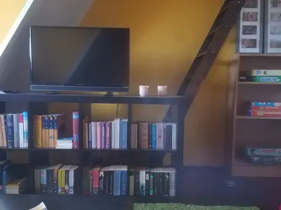 TV, Bücher und Spiele zum verweilen