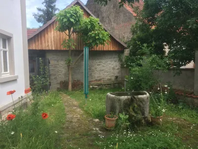 Ferienwohnung für 4 Personen (60 m²) in Obervolkach 7/10
