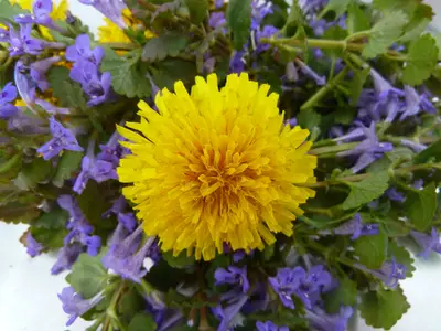 Ferienwohnung für 5 Personen (85 m²) in Volkach 1/10