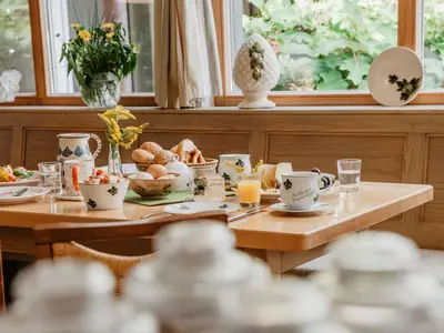 Ferienwohnung für 4 Personen (55 m²) in Volkenschwand 1/10