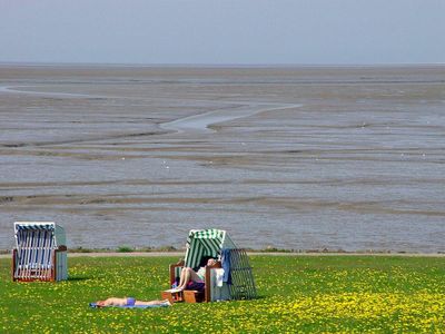 Vollerwieker Strand