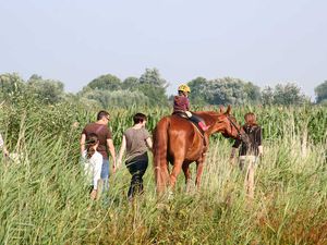 23483175-Ferienwohnung-2-Vollerwiek-300x225-2