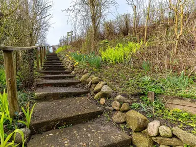 Weg zum Deich