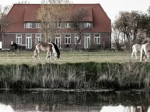 Ferienwohnung für 4 Personen (60 m²) in Vollerwiek