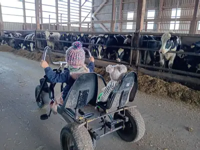 Hofrundfahrt
