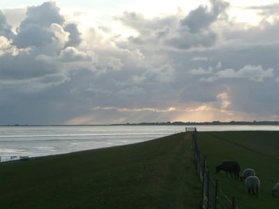 Deich in Richtung St. Peter-Ording