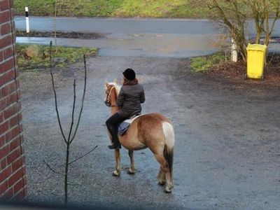 Reiten auf Anfrage möglich