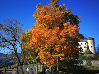 Ferienwohnung für 6 Personen (58 m²) in Völs am Schlern 10/10