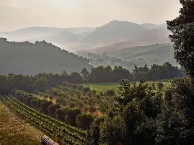 Ferienwohnung für 2 Personen (56 m²) in Volterra 5/10