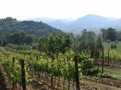 Ferienwohnung für 2 Personen (56 m²) in Volterra 10/10