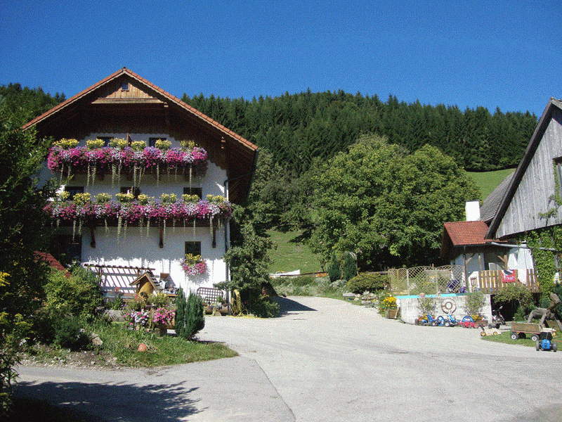 18704110-Ferienwohnung-5-Vorderstoder-800x600-0