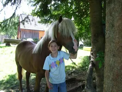 Ferienwohnung für 4 Personen (80 m²) in Vorderstoder 4/10