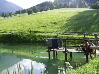 Ferienwohnung für 4 Personen (80 m²) in Vorderstoder 9/10