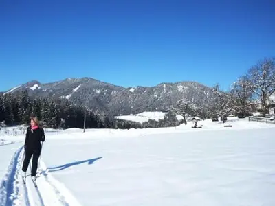 Ferienwohnung für 6 Personen (85 m²) in Vorderstoder 9/10