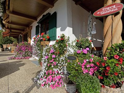 Gästehaus Auer Thiersee unser Blumenschmuck