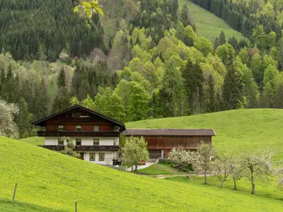 Hausaufnahme Frühjahr 2019