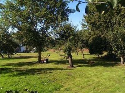 Der große Obstgarten bietet viel Platz zum Spielen und Toben. Auch das Haustier kann sich hier wohlfühlen