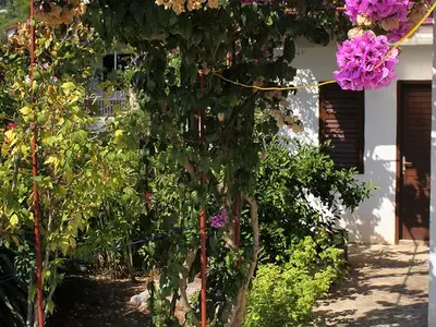 Ferienwohnung für 6 Personen in Vrbanj 9/10