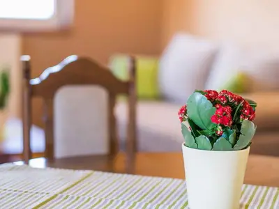 Ferienwohnung für 4 Personen (56 m²) in Vrbnik 10/10