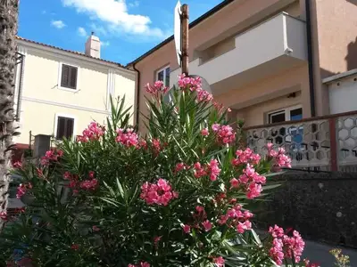 Ferienwohnung für 4 Personen (41 m²) in Vrbnik 1/10