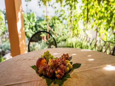 Ferienwohnung für 4 Personen (50 m²) in Vrbnik 5/10