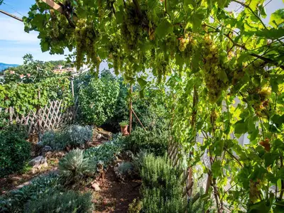 Ferienwohnung für 4 Personen (50 m²) in Vrbnik 7/10