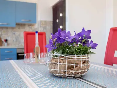 Ferienwohnung für 5 Personen (65 m²) in Vrbnik 9/10